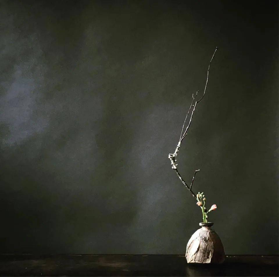 禅意· 插花_akira_自然_satake