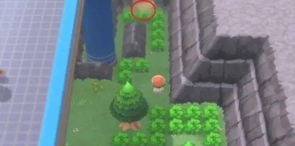 攻略 宝可梦晶灿钻石明亮珍珠 迷幻洞窟 走法详解 地图 序号 招式