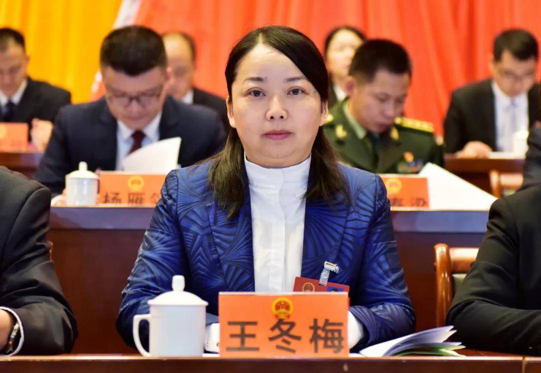 【聚焦两会】镇远县第十八届人民代表大会第一次会议召开第二次全体