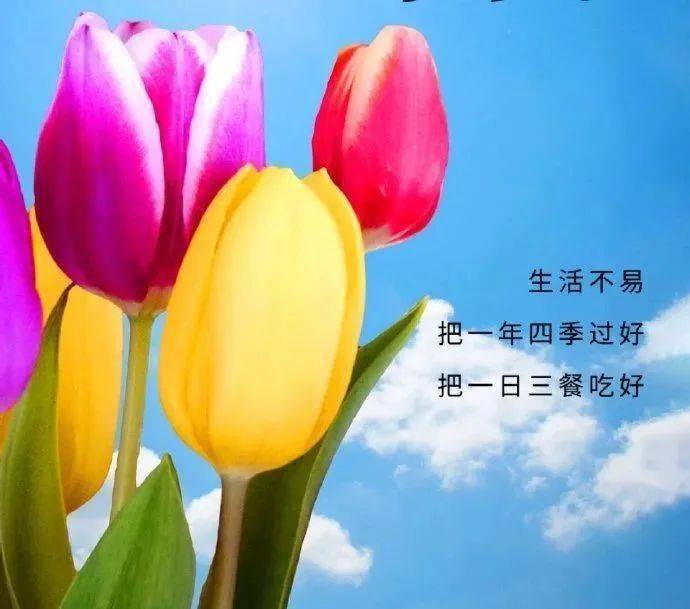 十一月再见,十二月你好_心情_短语_过往