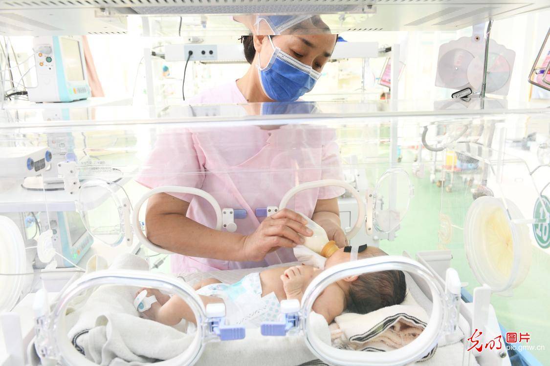 在河北省石家庄新乐市医院新生儿科监护病房,医护人员在给早产儿喂奶