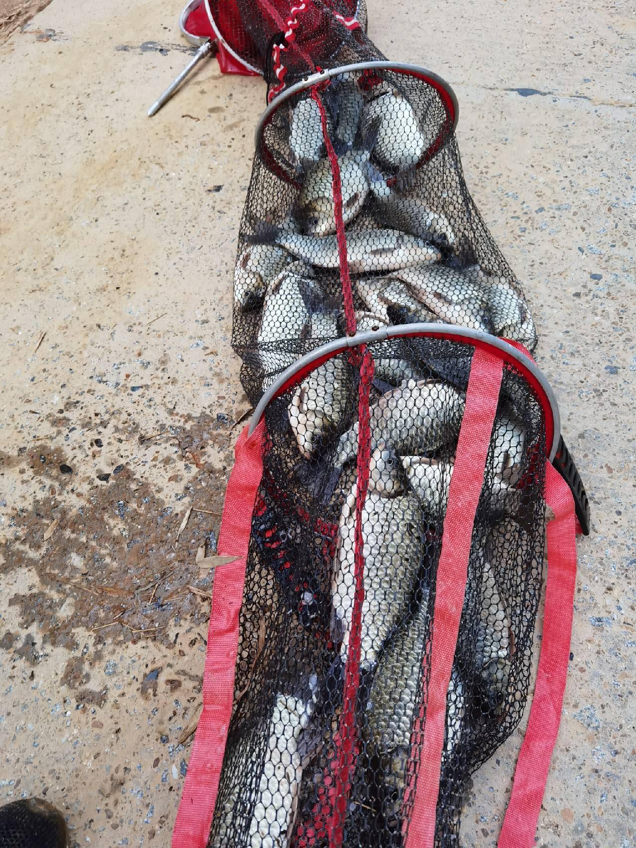 官庄水库野钓爆护之旅看看大师如何用户实践来证明