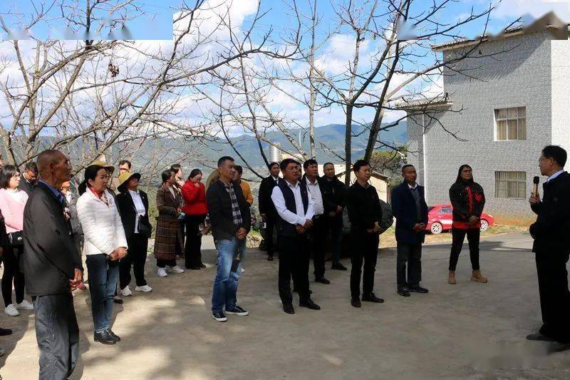 无量山镇沉浸式开展两代表一委员活动