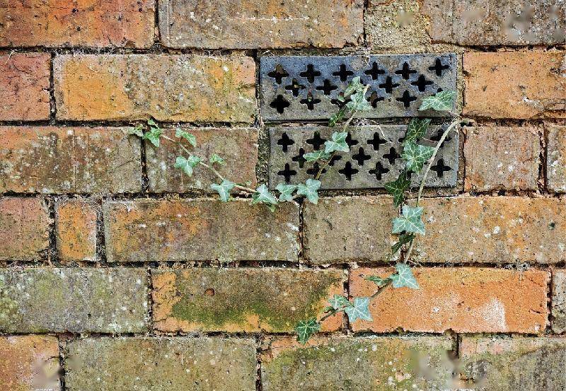 来袭|冷空气频频来袭空气质量明显下降 如何防治呼吸道疾病?