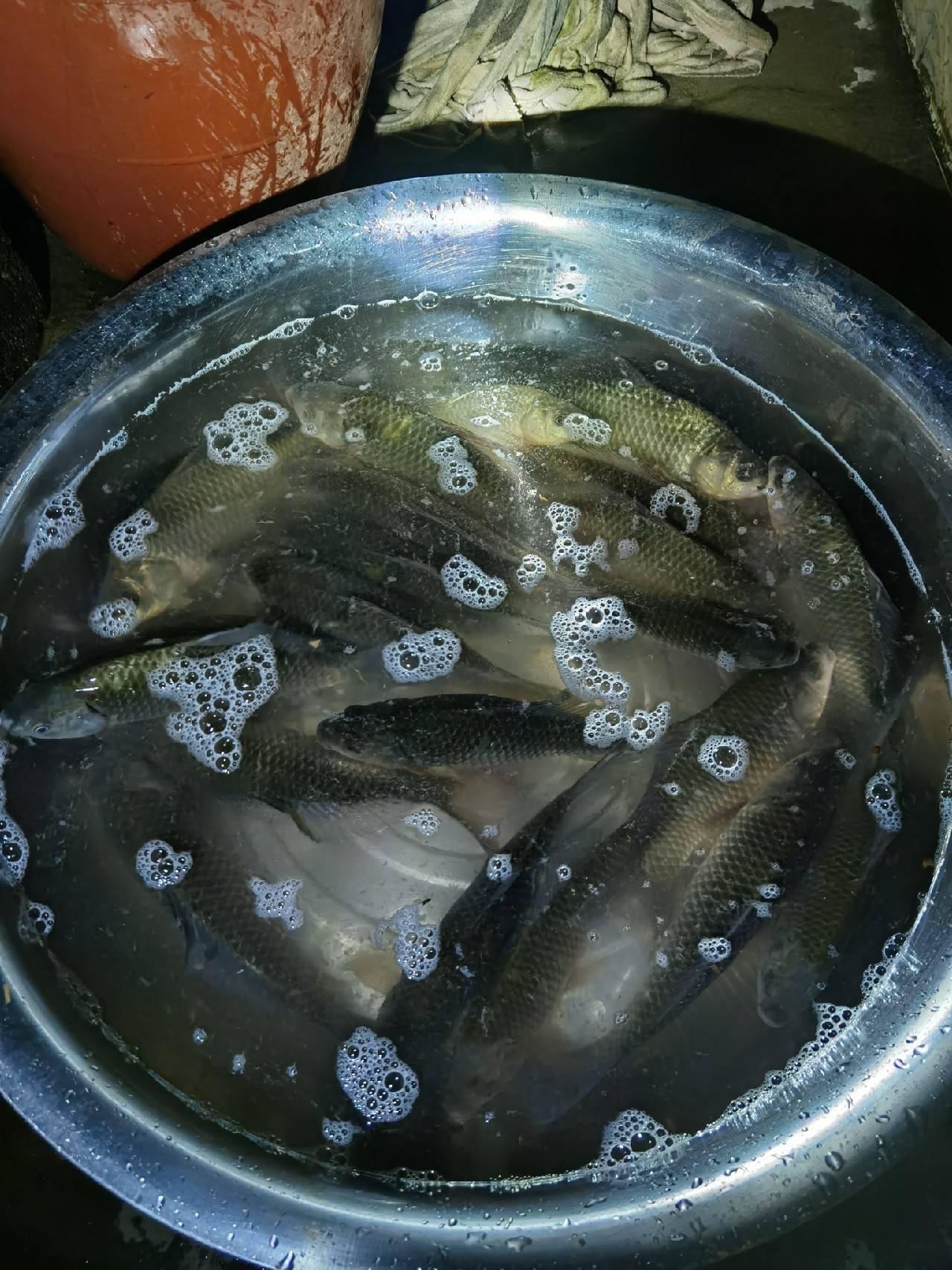 官庄水库野钓爆护之旅看看大师如何用户实践来证明