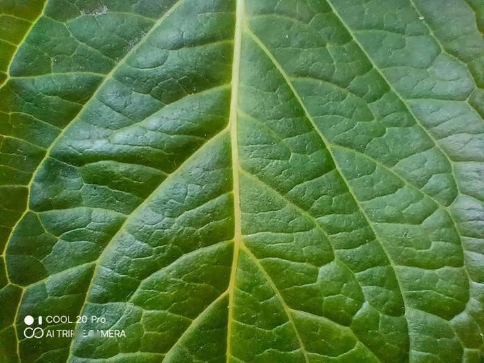 酷派cool20 pro评测 f1ffa255e3e644b7b4e5ed1342720be7.jpeg