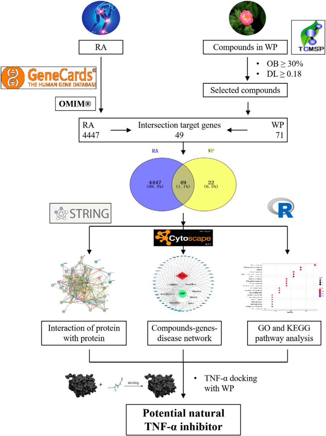 网络药理学怎么玩得转最新高分论文的套路复现在这