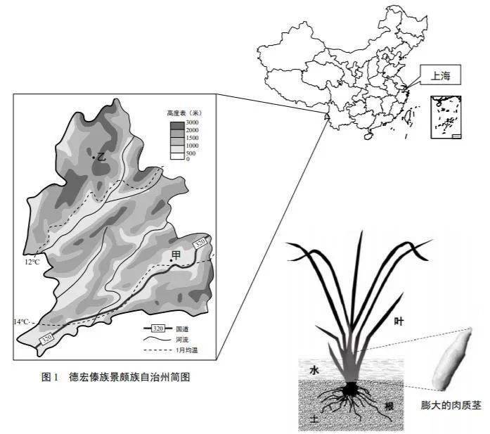 【首發】2021年中考跨學科試卷解析(地理篇)_茭白_分析_答案