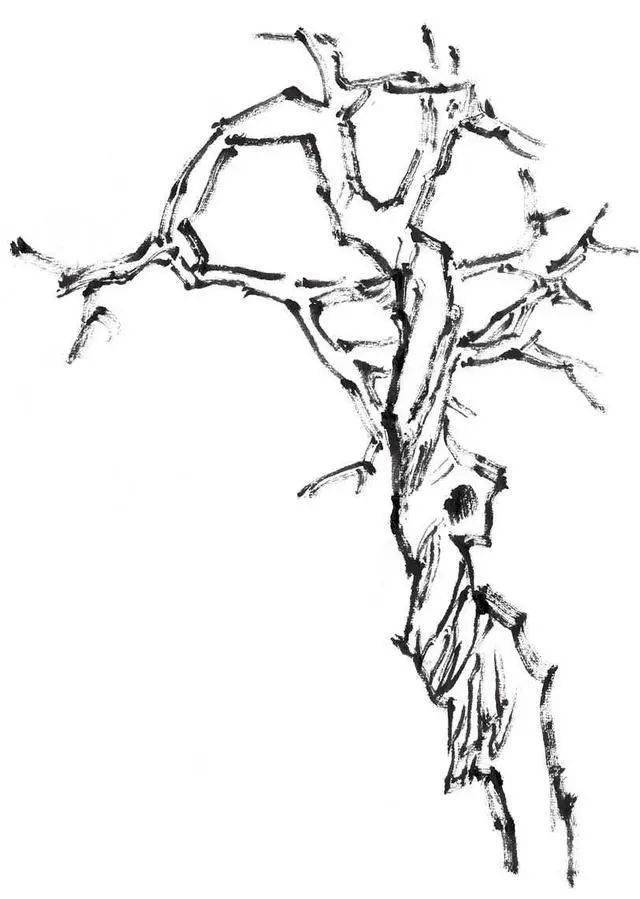 【国画教程】松柏柳画法步骤_树干_枝干_松针