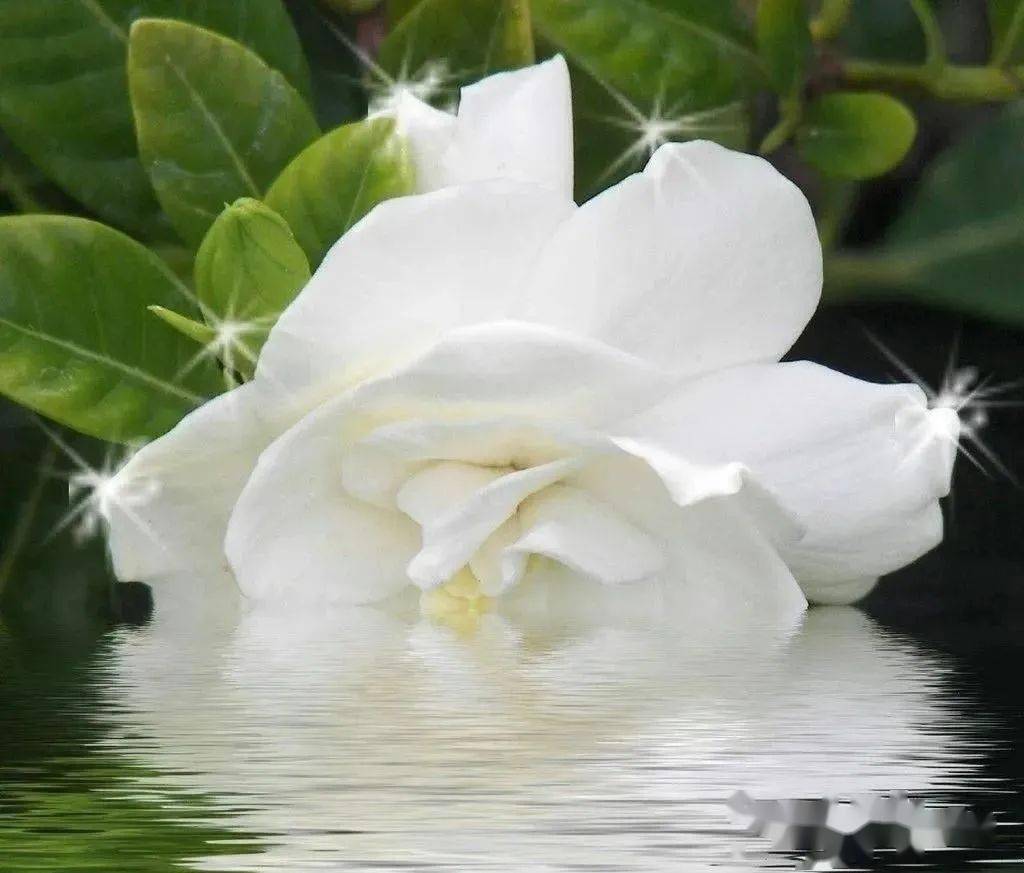 《我的世界是洁白的纸》主播 云淡风轻