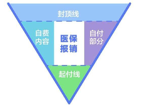 24dd89a6d19343cdb386292bd340f410.jpeg
