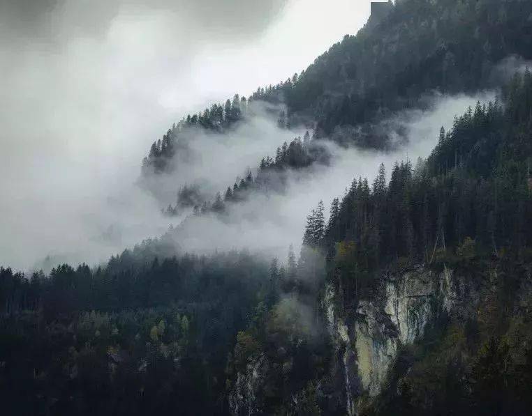 49cae20baada42f89086ee99aa4dcbcb.jpeg