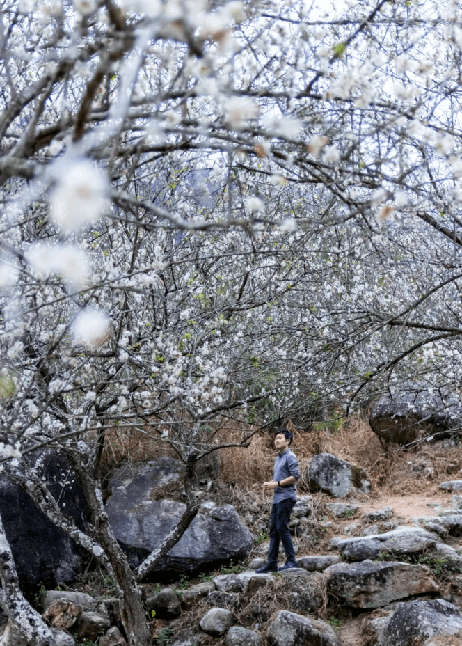 新兴4a天露山单人票~环山小火车 玻璃空中漂流 50游乐金 佛手拈花