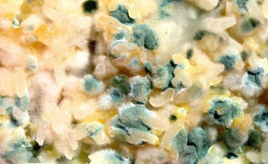 胃部|胃不好的人，这4种食物尽量少碰，管住嘴，胃癌主动绕开你！