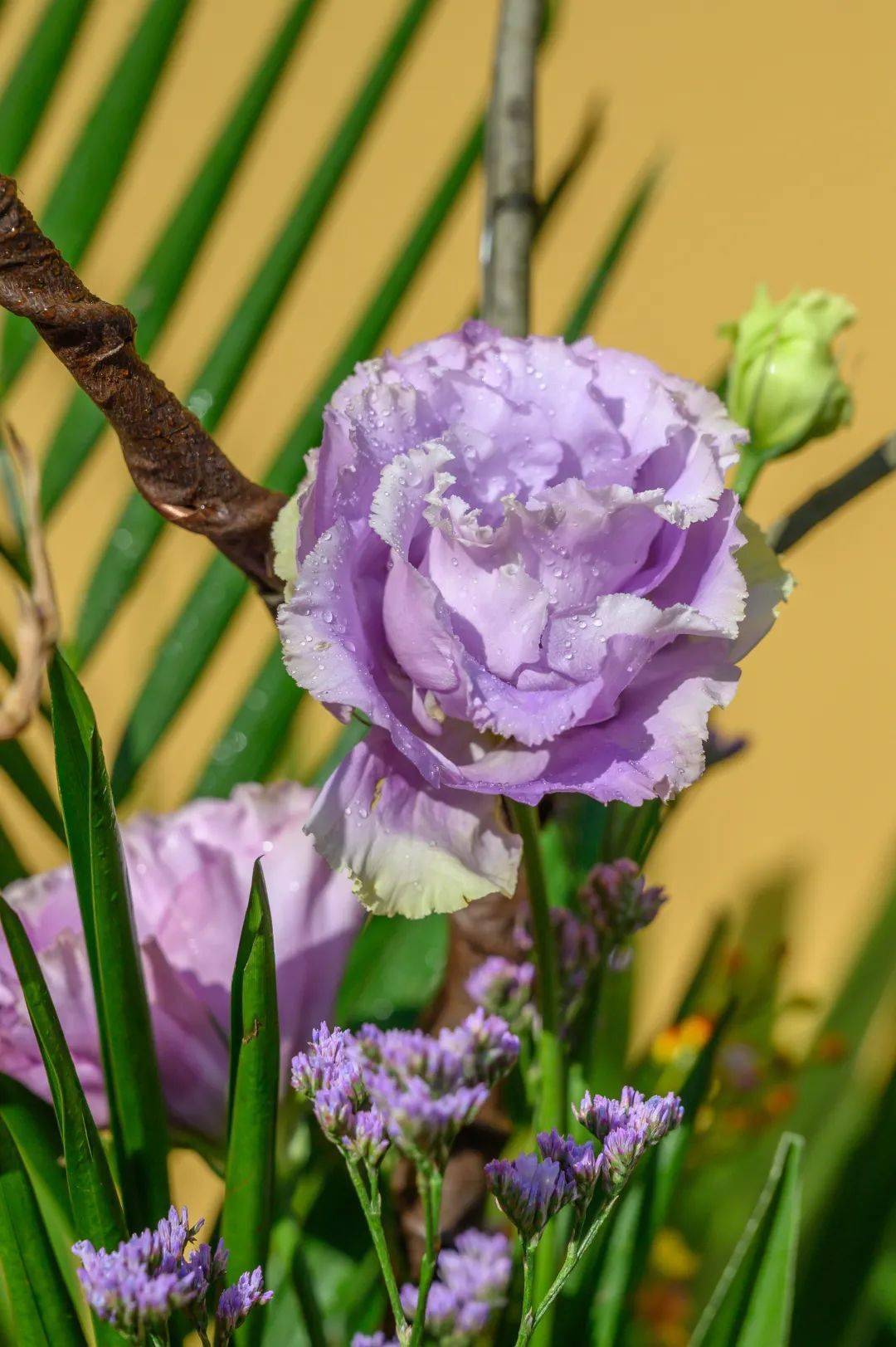 吉日供花恒守正念常得安乐