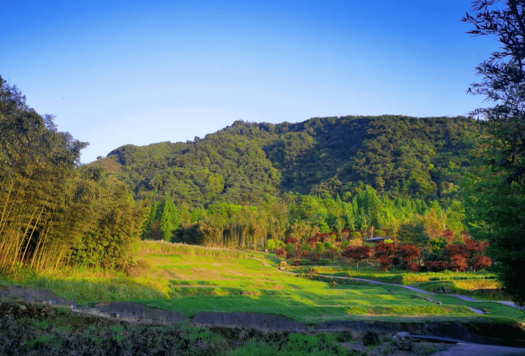 社区|都江堰这个地方年度压轴绝美景色上线，尝完美食，更加不愿走了！