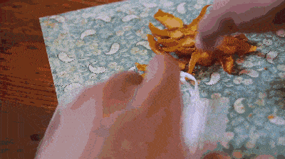 白糖|橘子皮竟然还能做这些，真后悔以前当垃圾丢了！