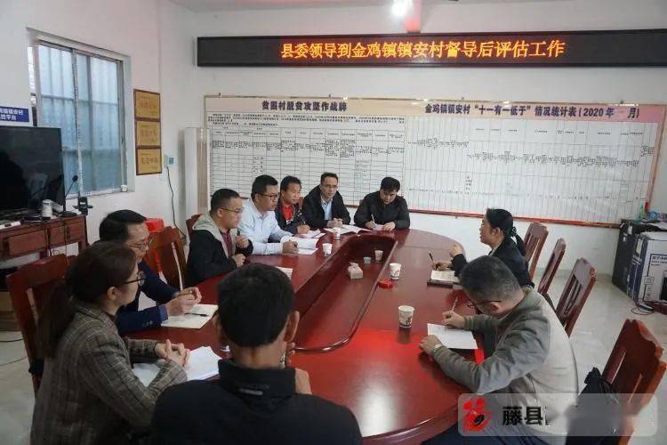 秦燕到金鸡镇调研巩固脱贫攻坚成果后评估工作_整改_饮水_藤县