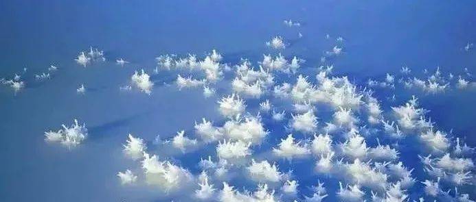 新疆盐湖“开花”,你有见过吗?_盐花_将军_精品