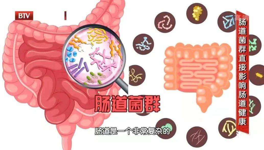 益生菌,益生元,合生元,到底该怎么吃,怎么选?