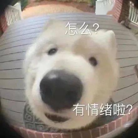 出圈|诈骗剧，耍起观众没完了？？？