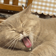 氛围 冬天第1套look，跪求你这样穿，好看又高级！！