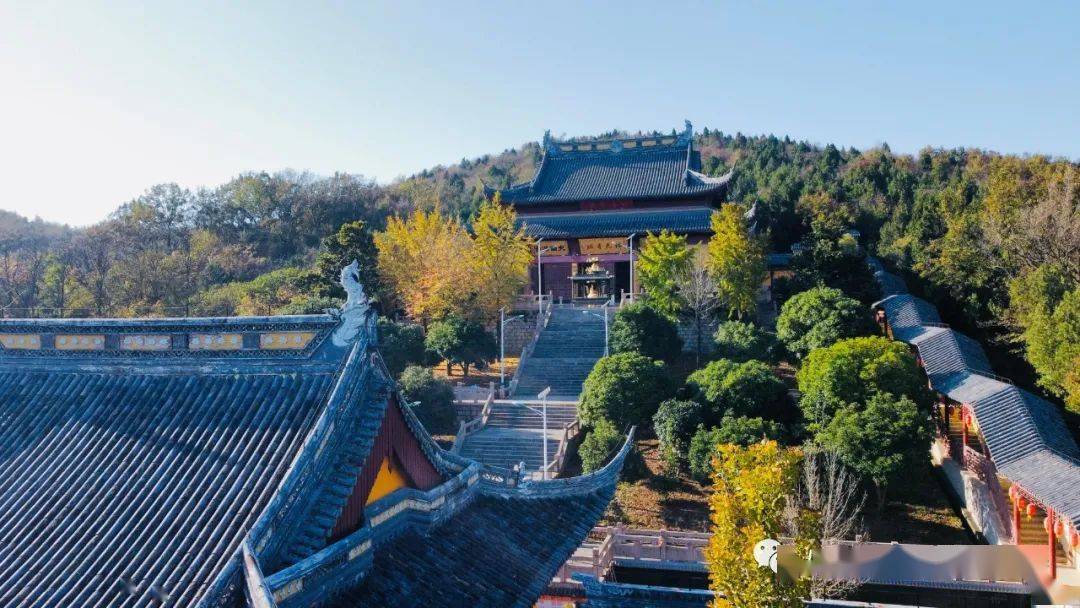 初冬的八公山要给你点颜色看看