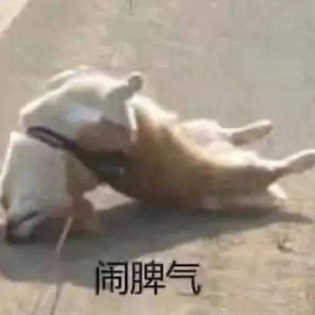 氛围 冬天第1套look，跪求你这样穿，好看又高级！！