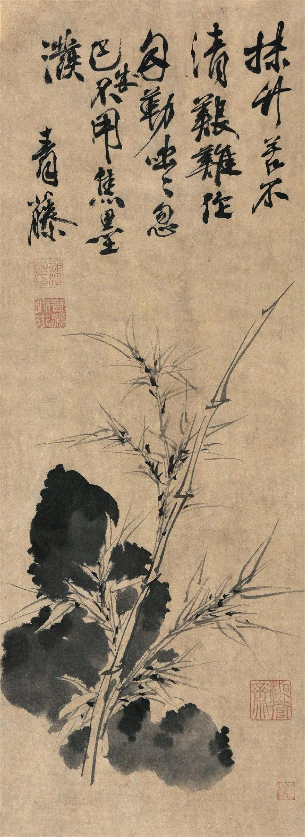 徐渭写竹，无拘无束，墨气淋漓_水仙_竹子_作品