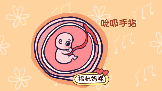 怀孕6个月胎儿图男图片