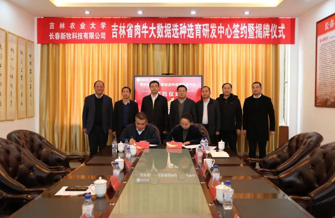 吉林农业大学与长春新牧科技有限公司共建"吉林省肉牛大数据选种选育