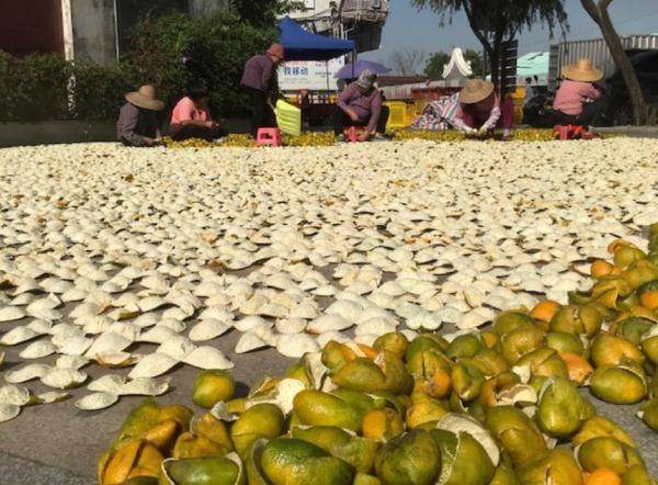 街坊|它很丑但很“贵”！广州街坊很爱吃，数万元一斤