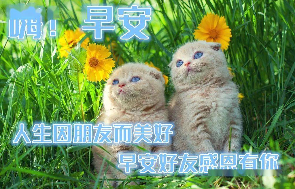 12月5日最新早上好微信带字问候表情图片大全冬日清晨早上好祝福语