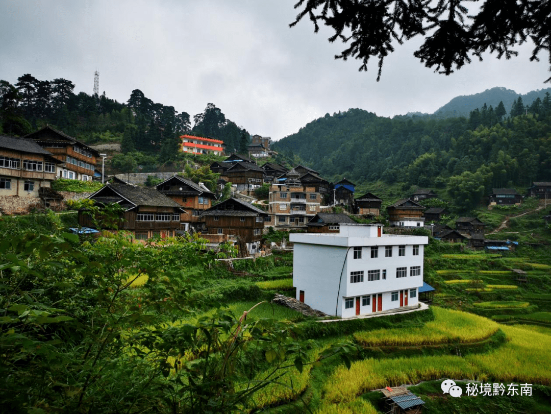 【文化】"和我一起去肇兴"——黎平县启动农民丰收节系列活动_旅游