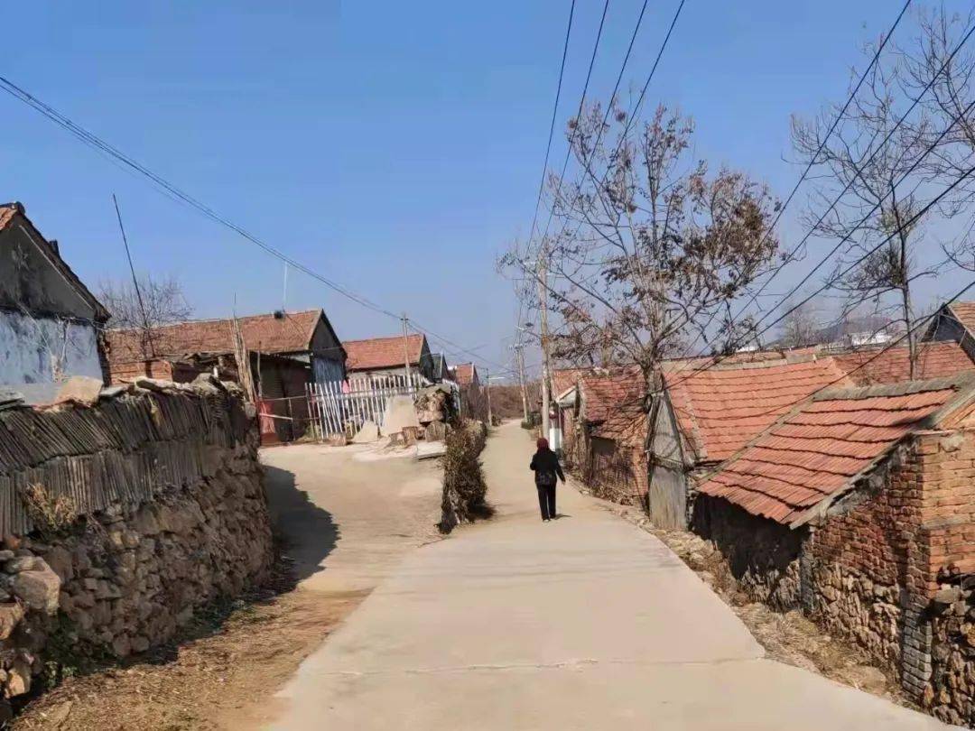 用生态扮靓乡村之美黄墩镇人居环境整治工作成果展示④