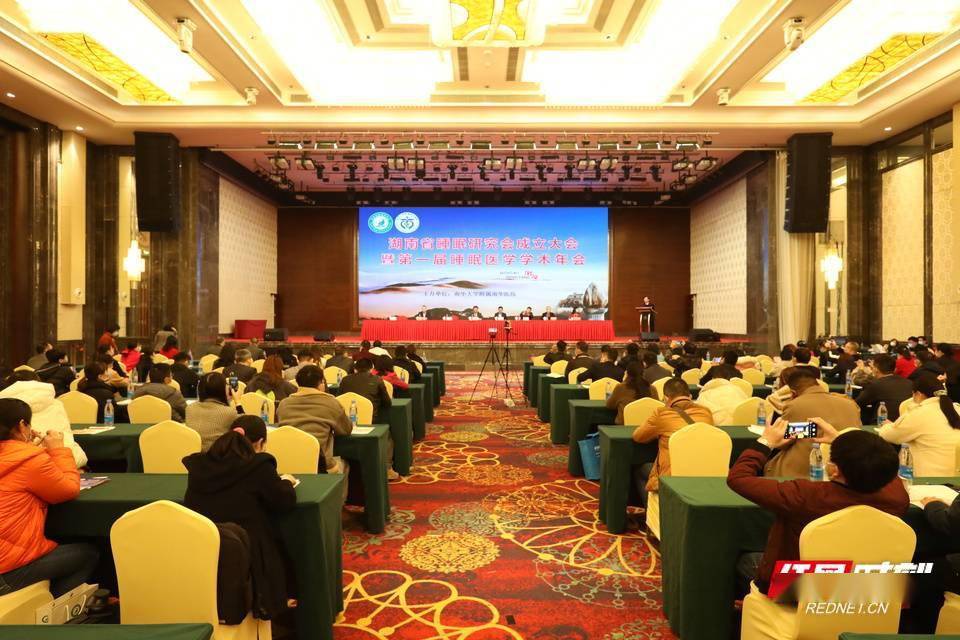 李琳娜|湖南省睡眠研究会成立 汤永红当选首届理事会理事长