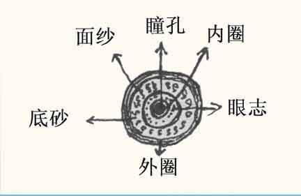 经验这样的配对方法让我用天落鸟连续2年作出冠军