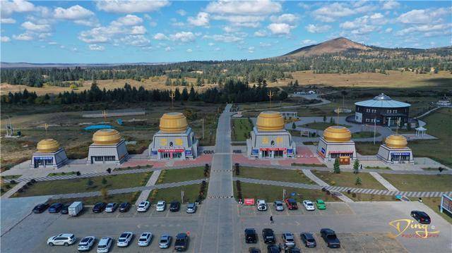 沙丘保護神白音敖包沙地雲杉世界上唯一的一片沙地雲杉林所在地