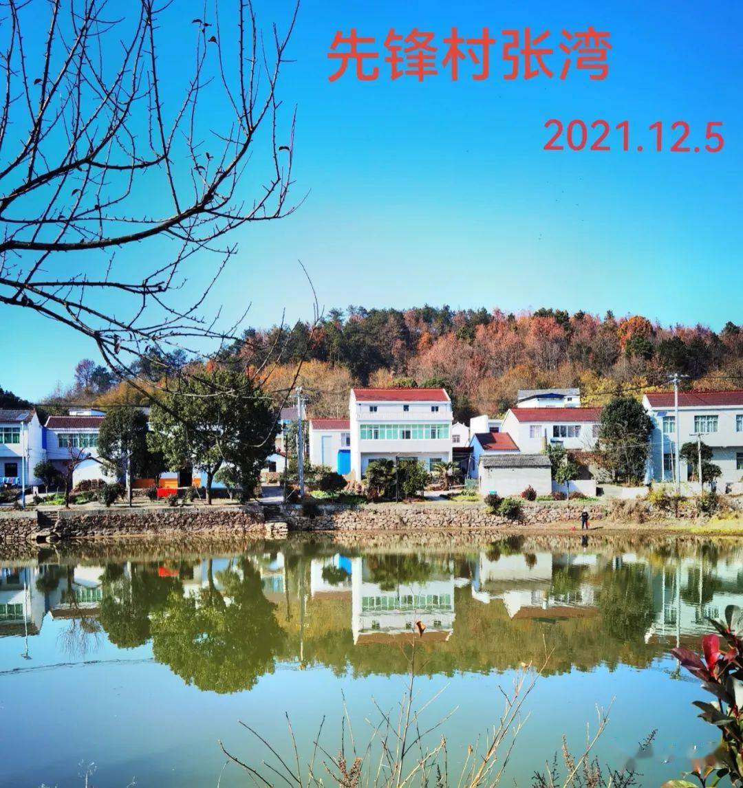 许耀明|走进雨坛先锋村张湾_老荣_枞阳县_工作