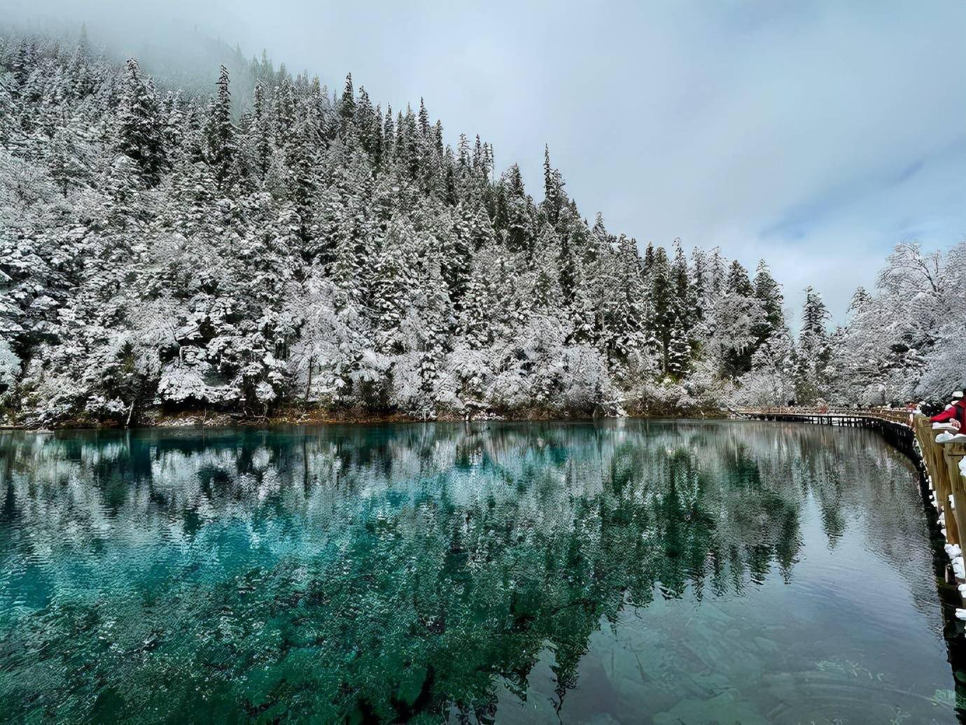 九寨沟的雪惊艳了整个冬天