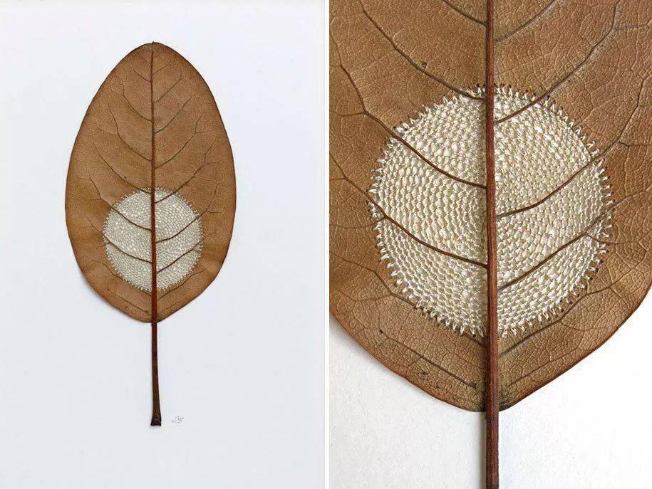 美女艺术家的树叶上刺绣,每一幅都美妙绝伦!