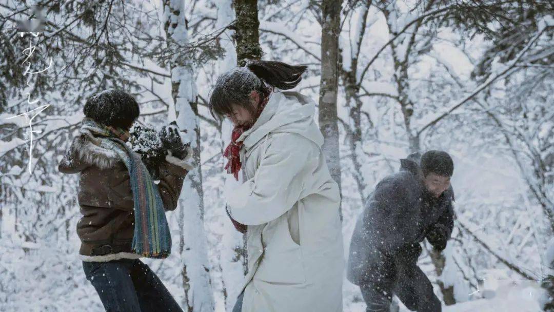 青年|虽没法部部大卖，但这些新锐导演的作品不该被埋没