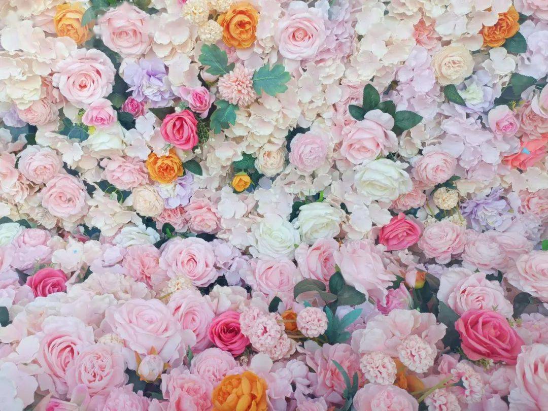 捕光逐影粉红世界总第2271期