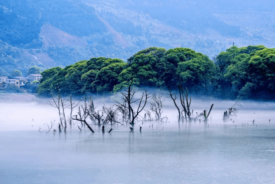 文化|双牌日月湖湿地上榜全省第二批省级重要湿地名录