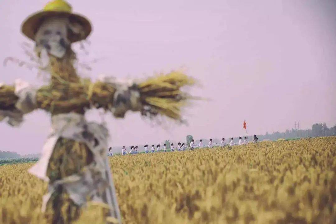 青年|虽没法部部大卖，但这些新锐导演的作品不该被埋没