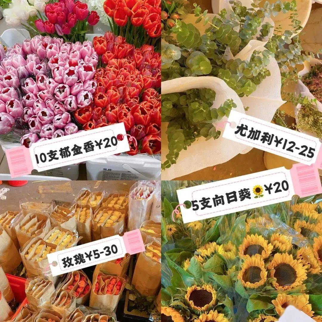 文章配图-46