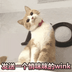 那一部|超多新片上映,这份消防观影指南一定要收好!