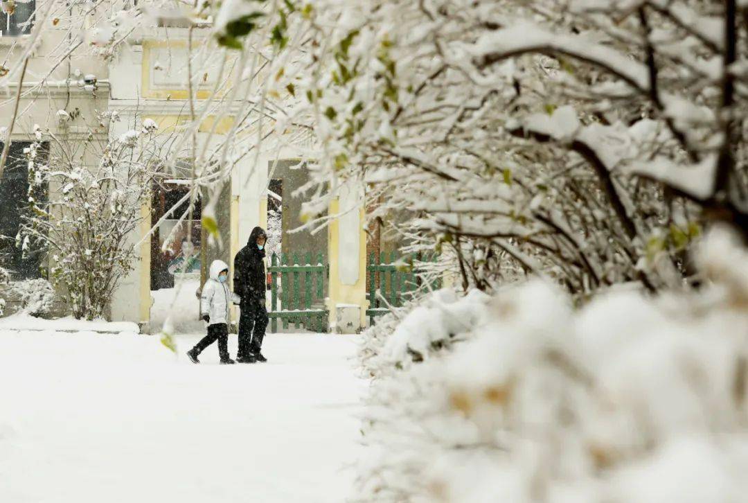 中雪,局地大雪!雪后气温下降明显
