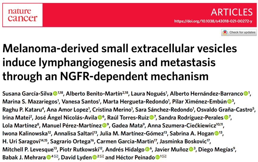 Peinado|《自然》子刊：癌细胞转移前就把“黑手”伸进了淋巴管！科学家发现，黑色素瘤细胞会释放外泌体改造淋巴管，促进肿瘤转移丨科学大发现