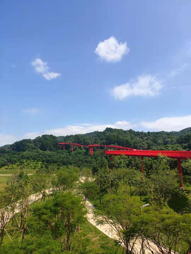 描写深圳红桥公园